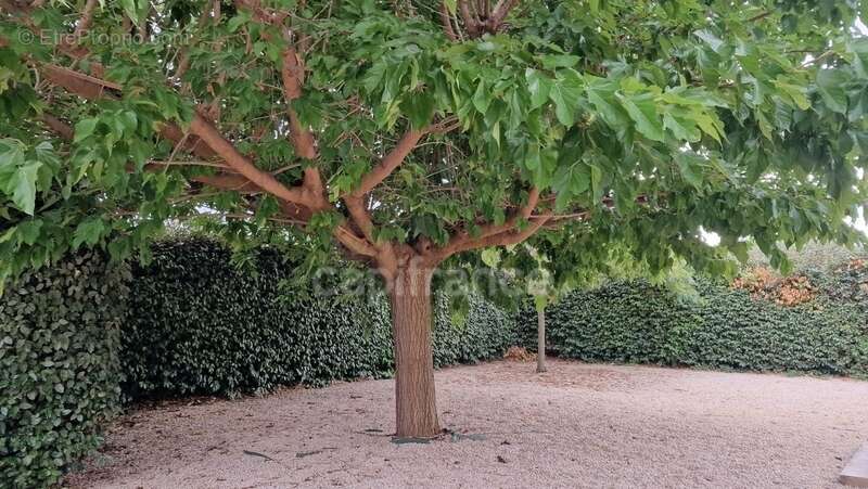 Maison T4 de plain-pied 4 faces avec garage et jardin – Magalas (34) - photo 11
