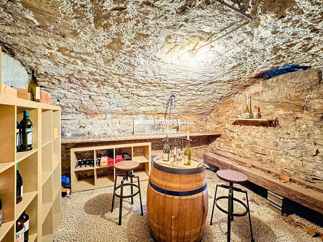 Appartement à NEUVILLE-SUR-SAONE