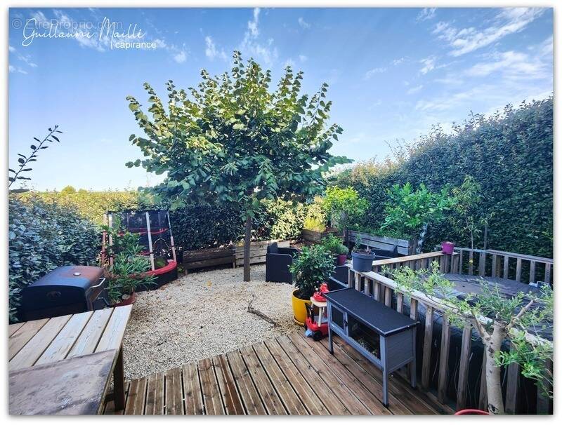 Maison à SAINT-THIBERY