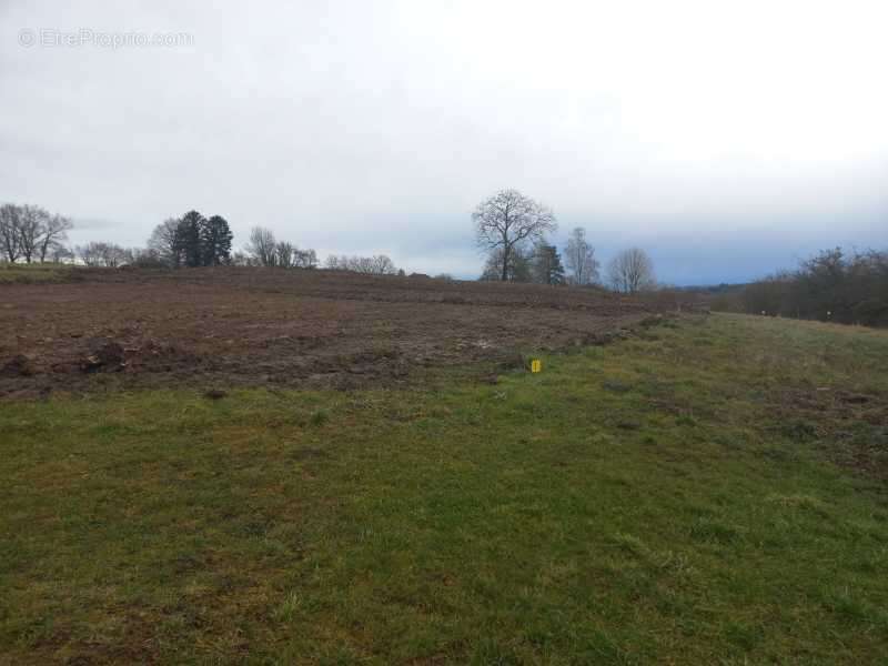Terrain à ALLENJOIE