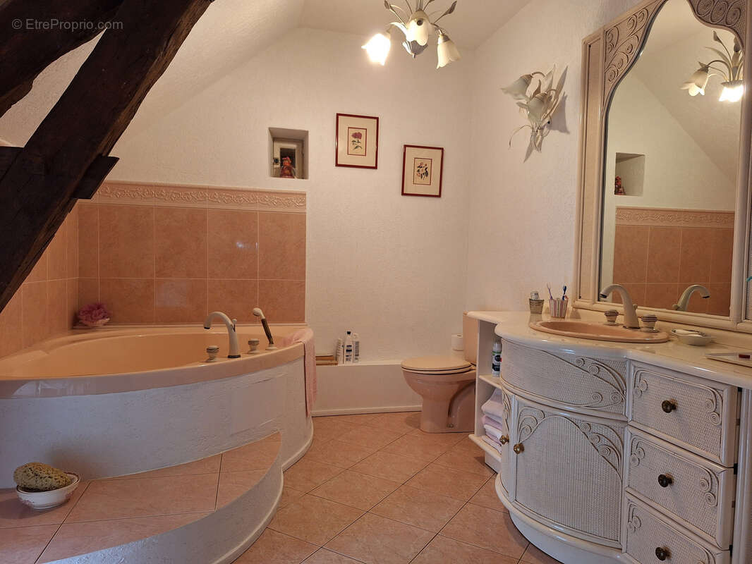 Maison à SALLES-DE-BELVES