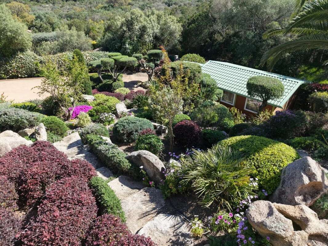 Maison à PORTO-VECCHIO