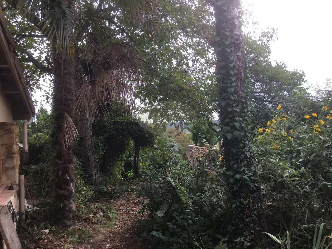 Maison à BRASSEMPOUY