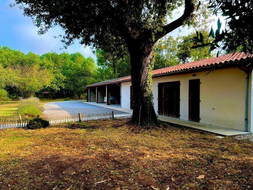 Sanguinet - maison 210 m² sur 1,3 ha - piscine & pool house - photo 8