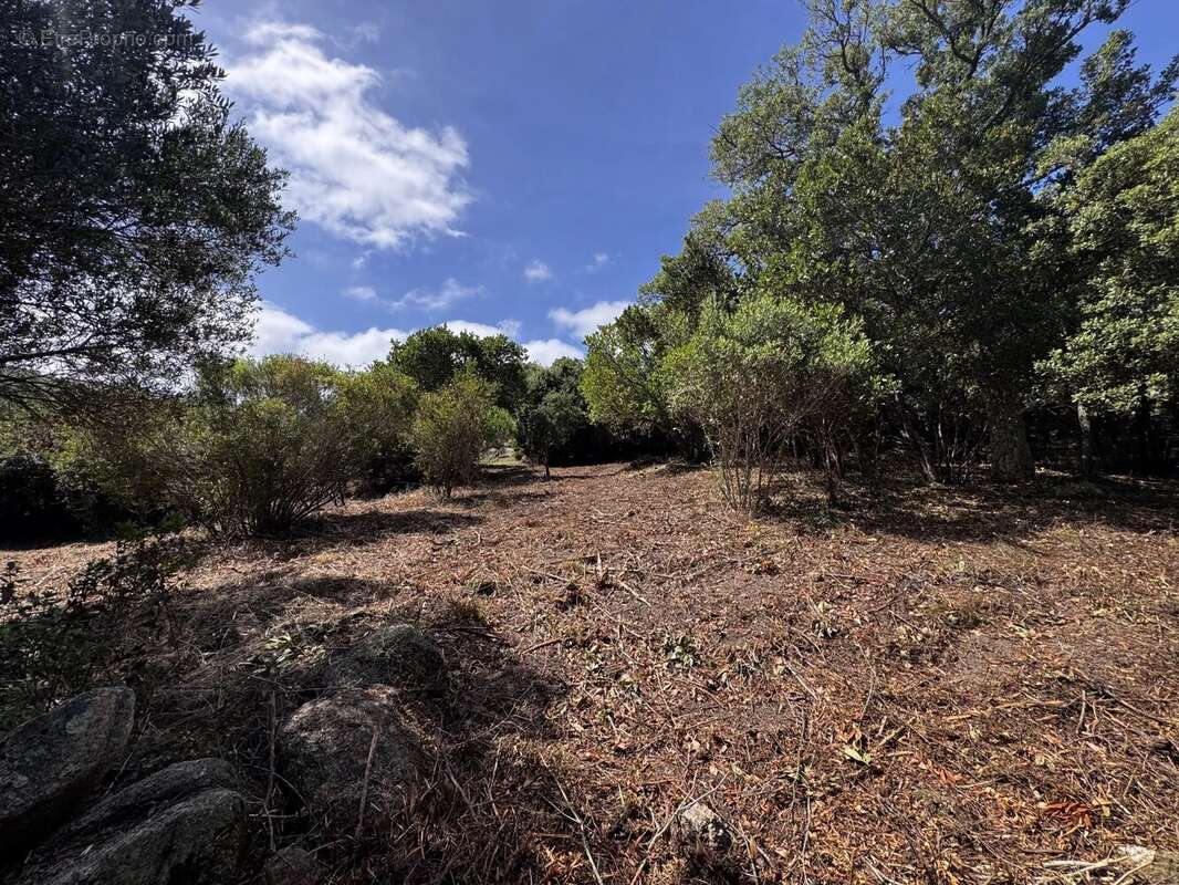 Terrain à FIGARI