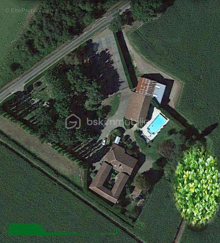 Maison à VILLENEUVE-DE-MARSAN