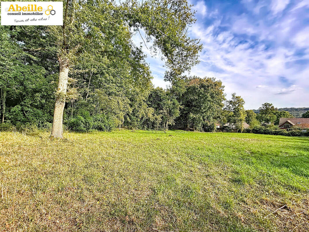 Terrain à SAINT-CHERON