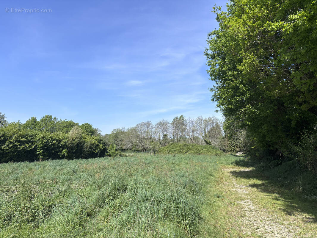 Terrain à CLOHARS-FOUESNANT