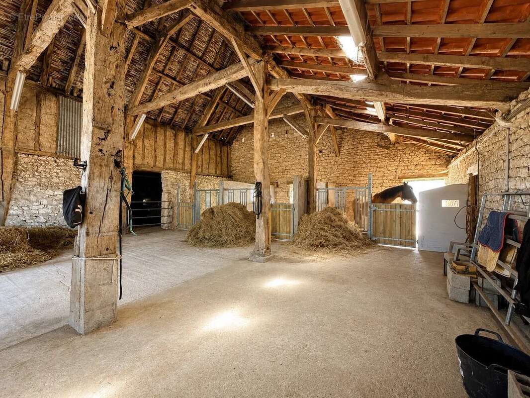 Propriété de caractère en pierres – Domaine équestre sur près de 6 hectares - photo 23