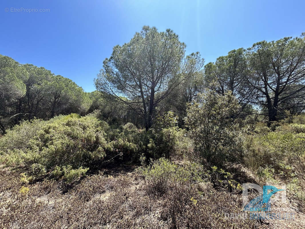 Terrain à MONTBLANC