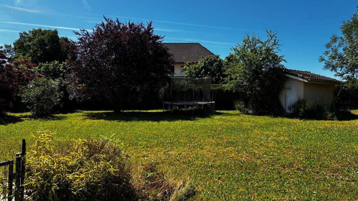 Photo 3 - Maison à MONTBAZENS