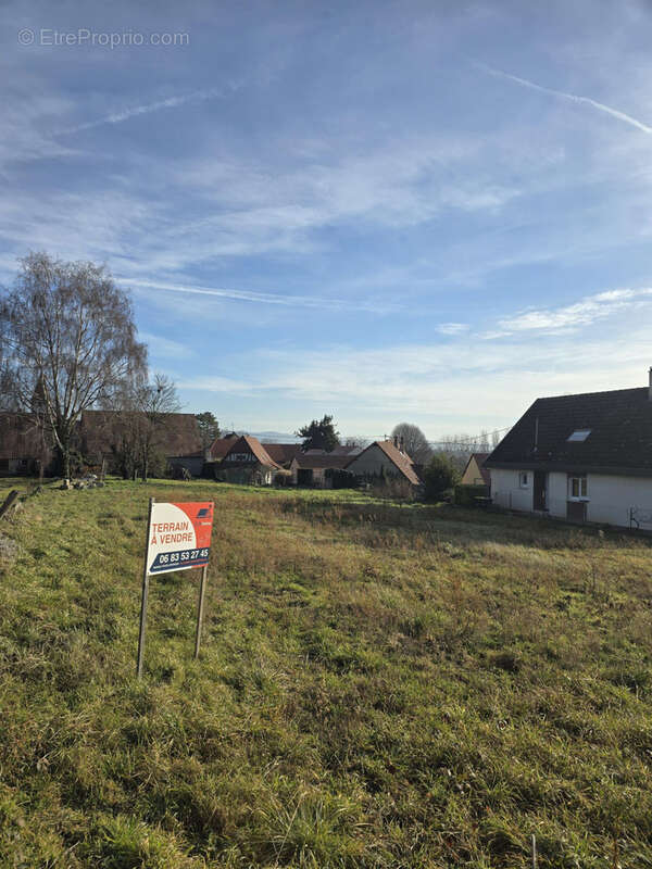 Terrain à ESCHENTZWILLER