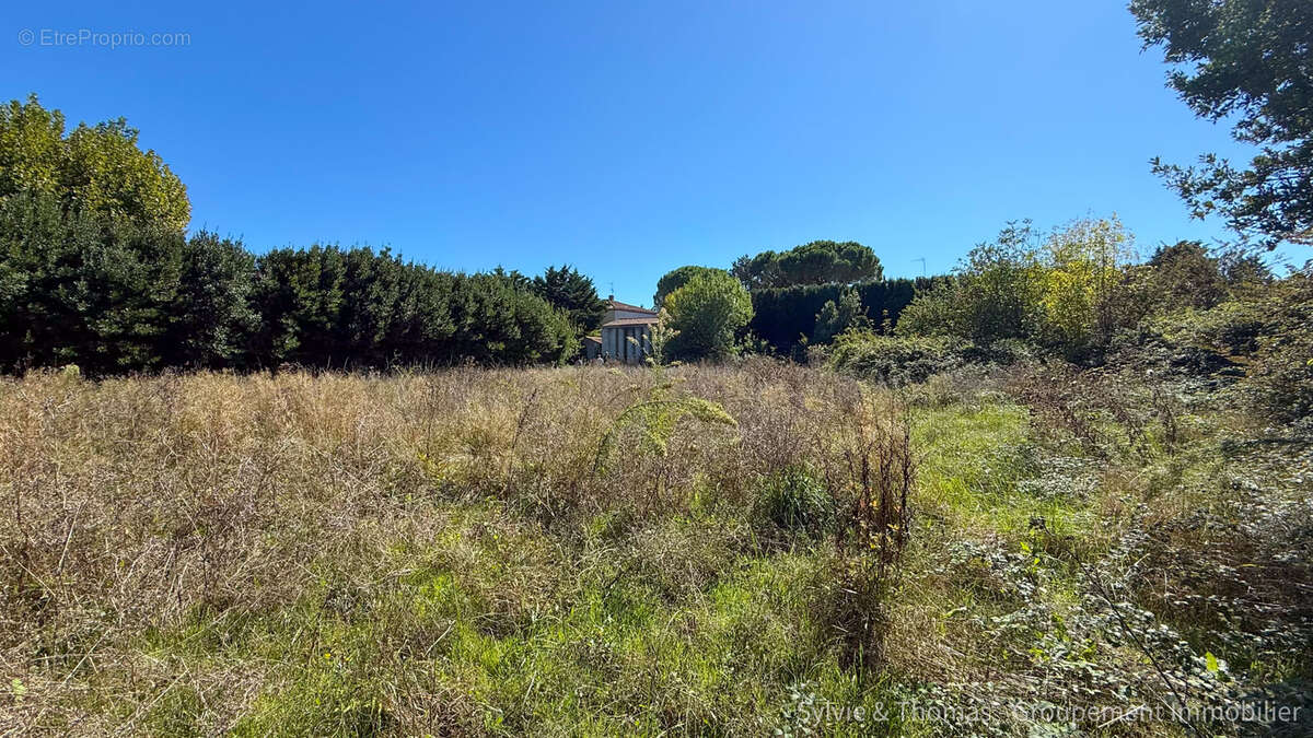 Terrain à CADEROUSSE
