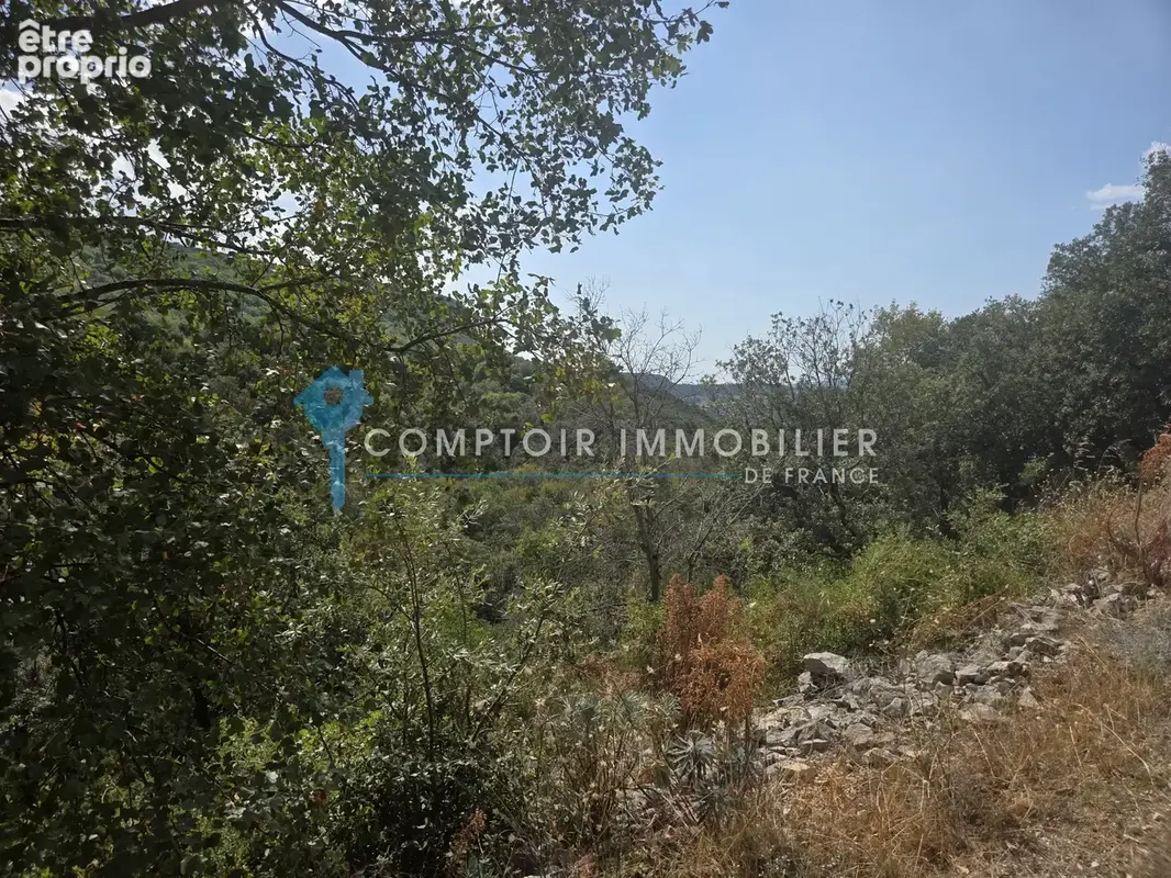 Terrain forestier vallonné - photo 5
