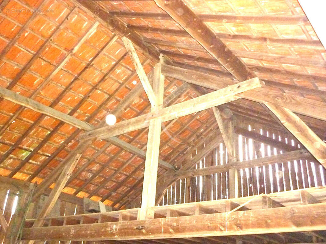 Terrain à SAINT-VIATRE