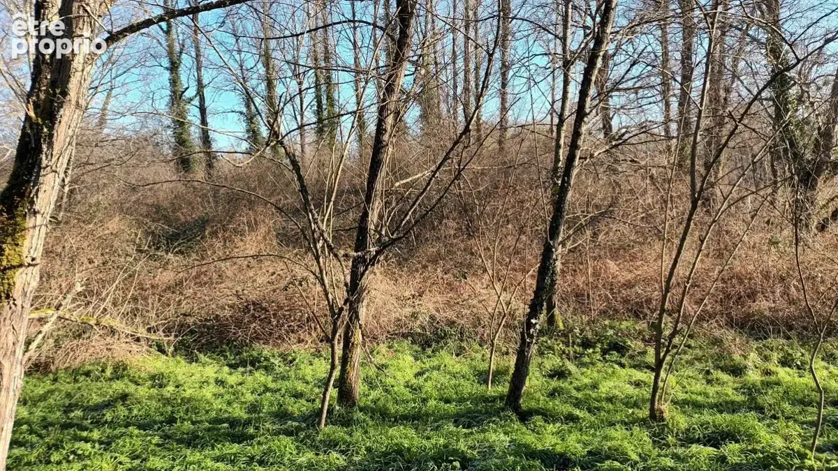 Terrain à VILLANDRAUT