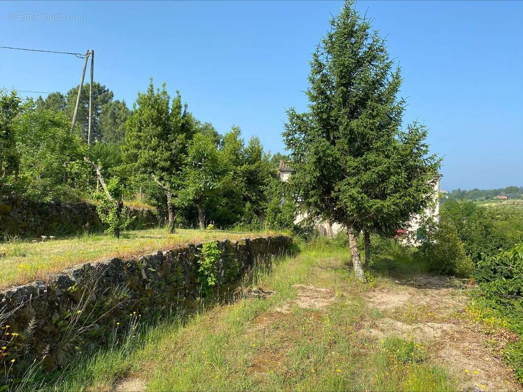 Terrain 914 m² à Lablachere  - photo 4