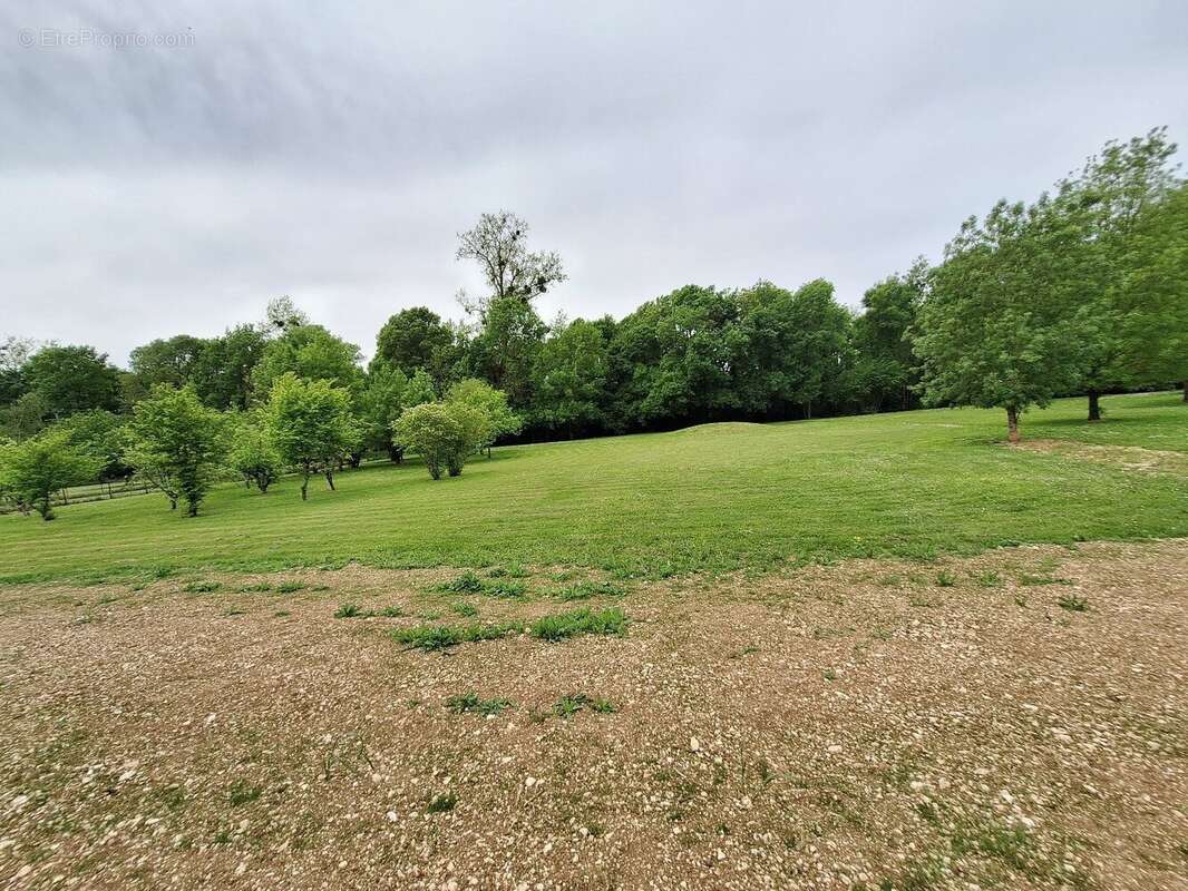 Maison 250 m² à Sainte-Severe  - photo 23