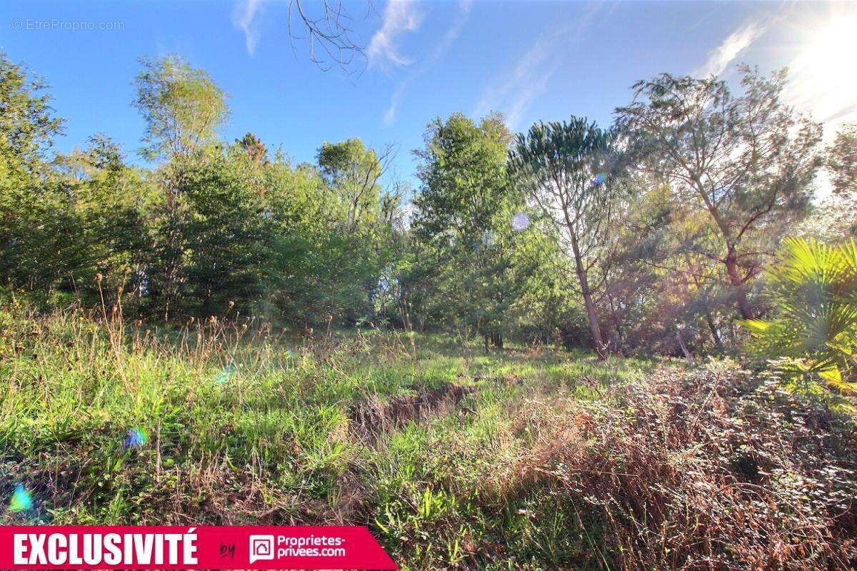 Maison à MALEMORT-SUR-CORREZE