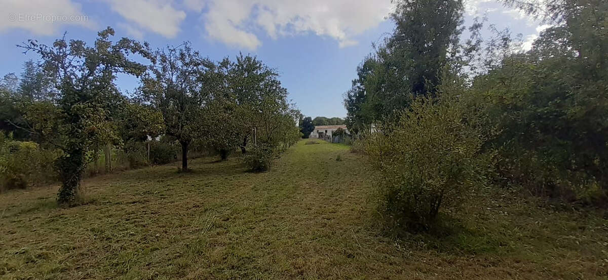Terrain à SAINT-CHRISTOPHE