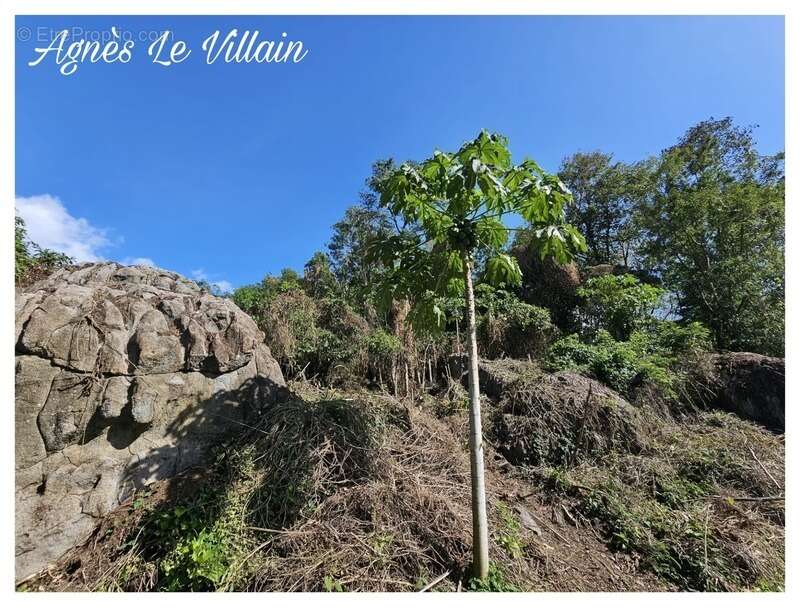Terrain à POINTE-NOIRE