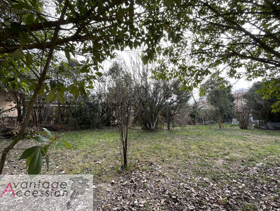 Terrain à SEGOUFIELLE