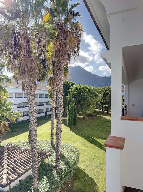 Appartement à SAN-NICOLAO