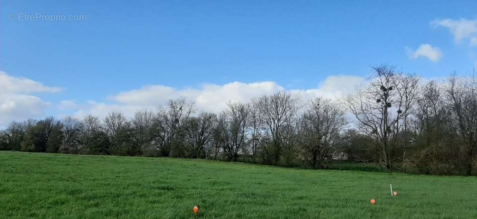 Terrain 395 m² à Coulans-Sur-Gee  - photo 2