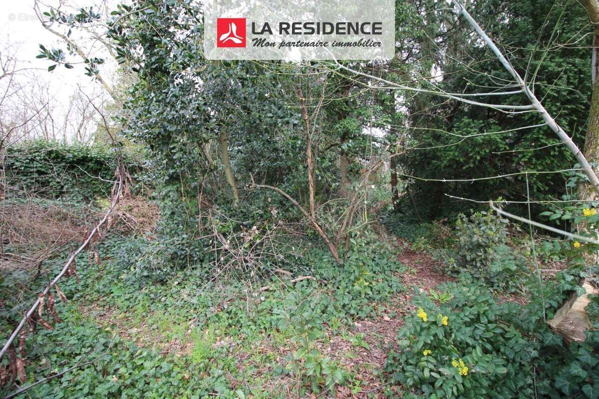 Terrain à LES MUREAUX