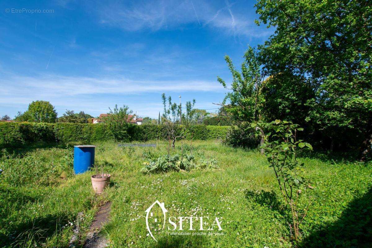 Terrain à COLOMIERS