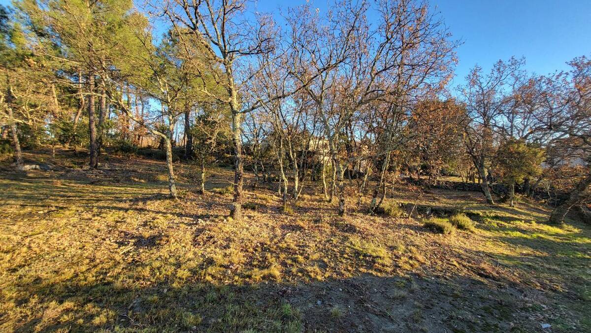 Terrain à LES ASSIONS