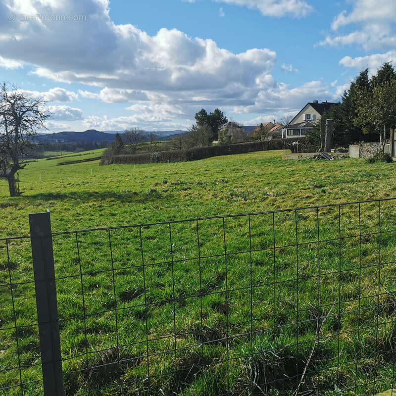 Terrain à SAINT-FIRMIN