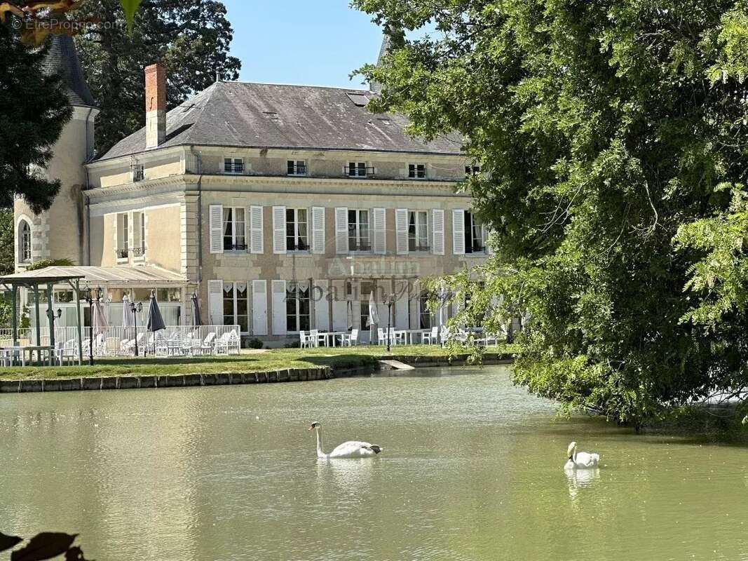 Maison à LA ROCHE-POSAY