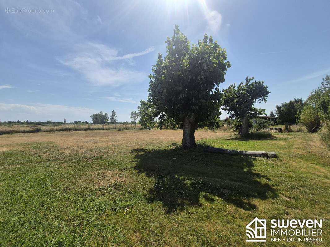 Maison 152 m² à Lamasquere  - photo 6