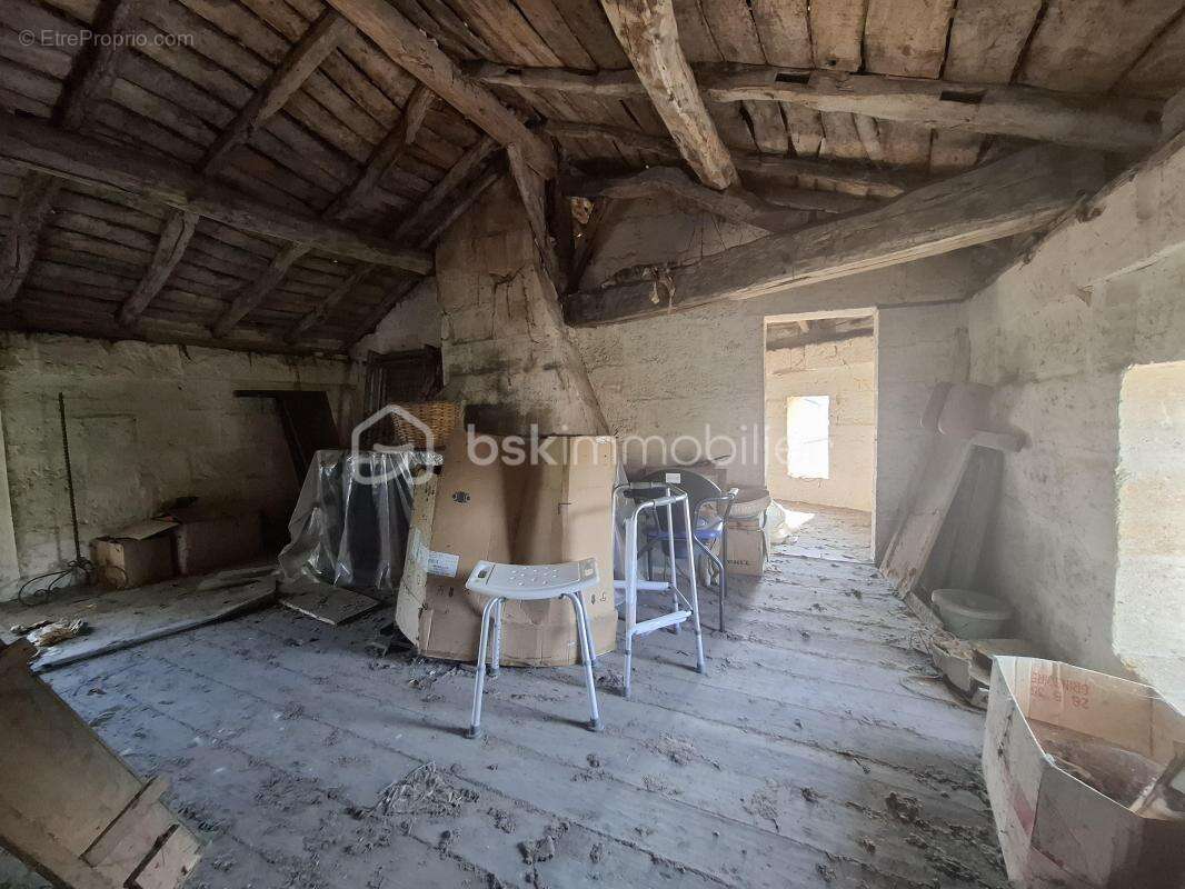 Authentique girondine 260 m² – Terrain arboré de 2 500 m² – Sainte-Terre (33350) - photo 18
