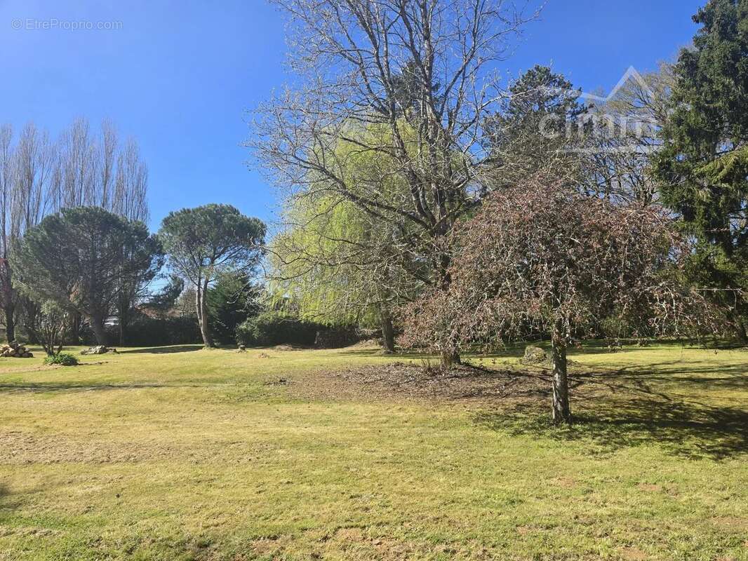 Terrain à SAINT-ELOY-DE-GY
