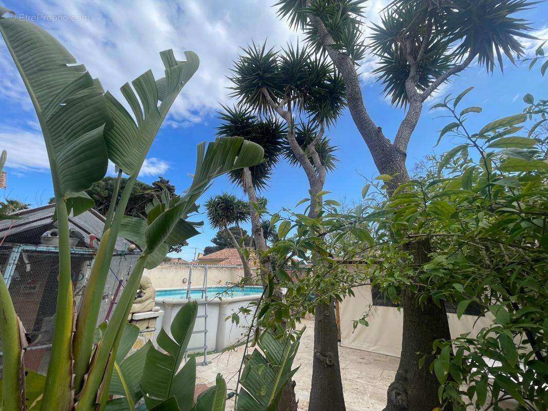 Maison à LA SEYNE-SUR-MER