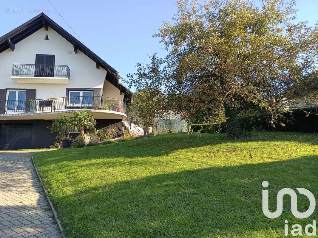 Photo 5 - Maison à ALTKIRCH