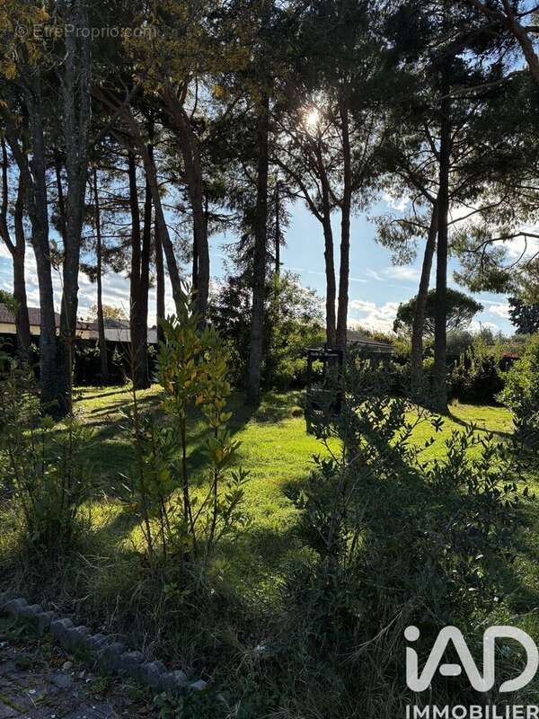 Photo 8 - Maison à CHEVAL-BLANC