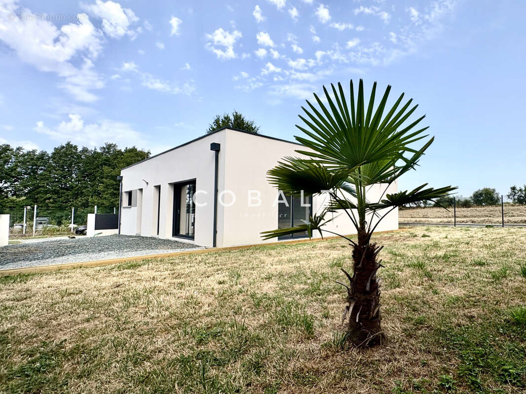 Maison à BLAIN