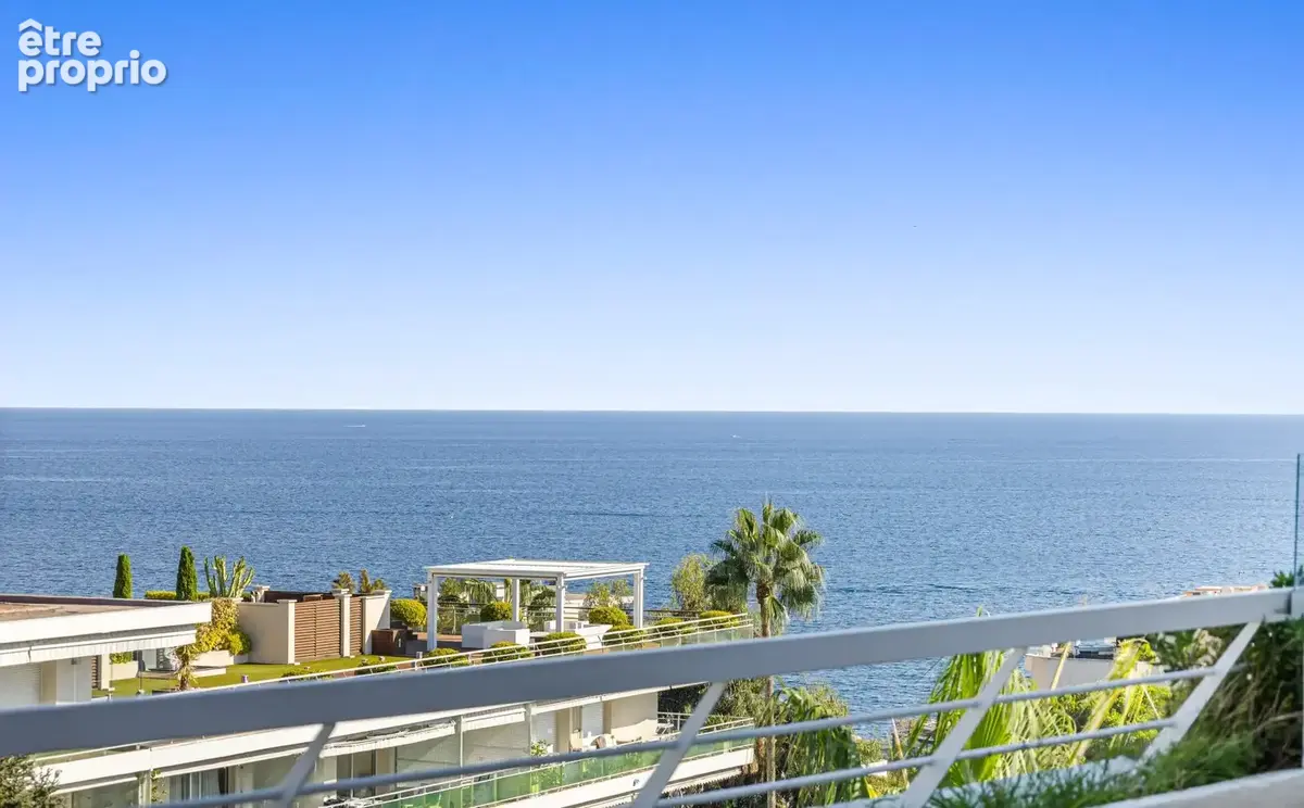 Cannes basse californie - photo 17