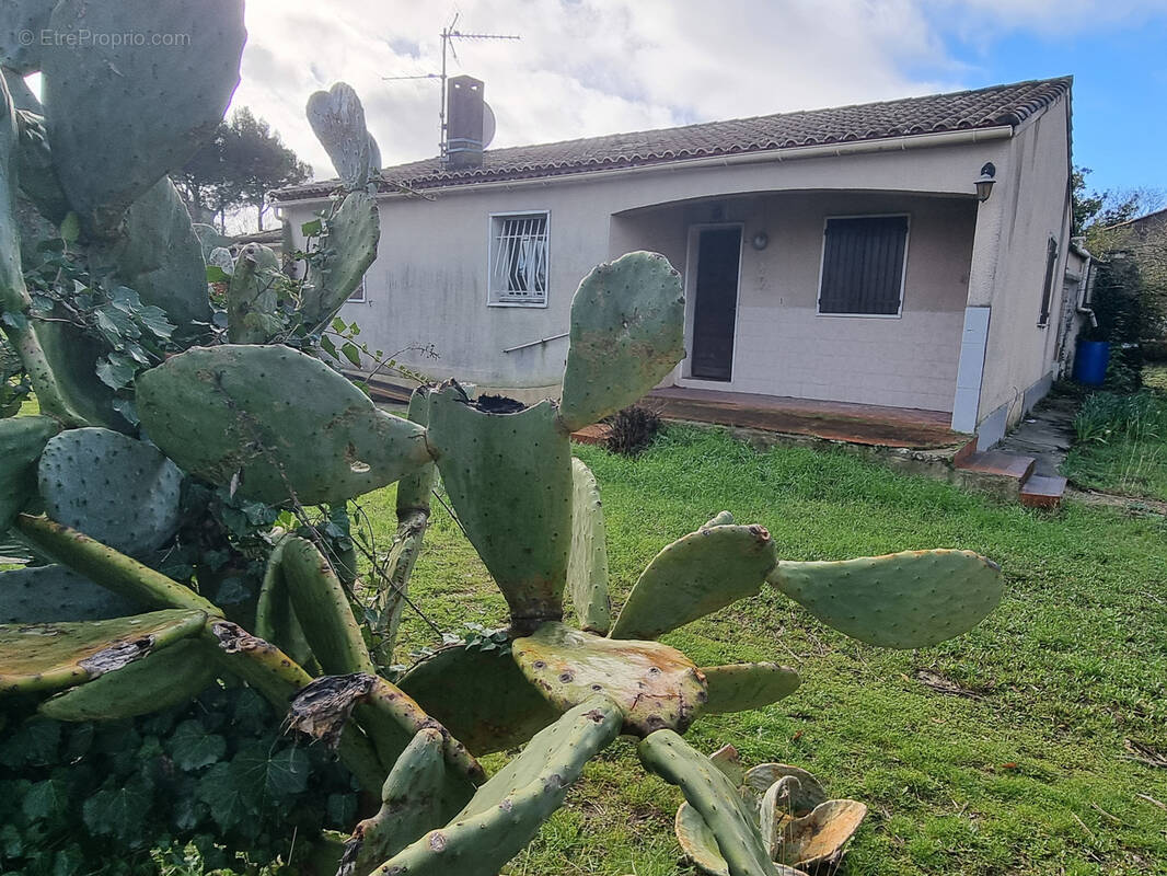 Maison à SUSSARGUES