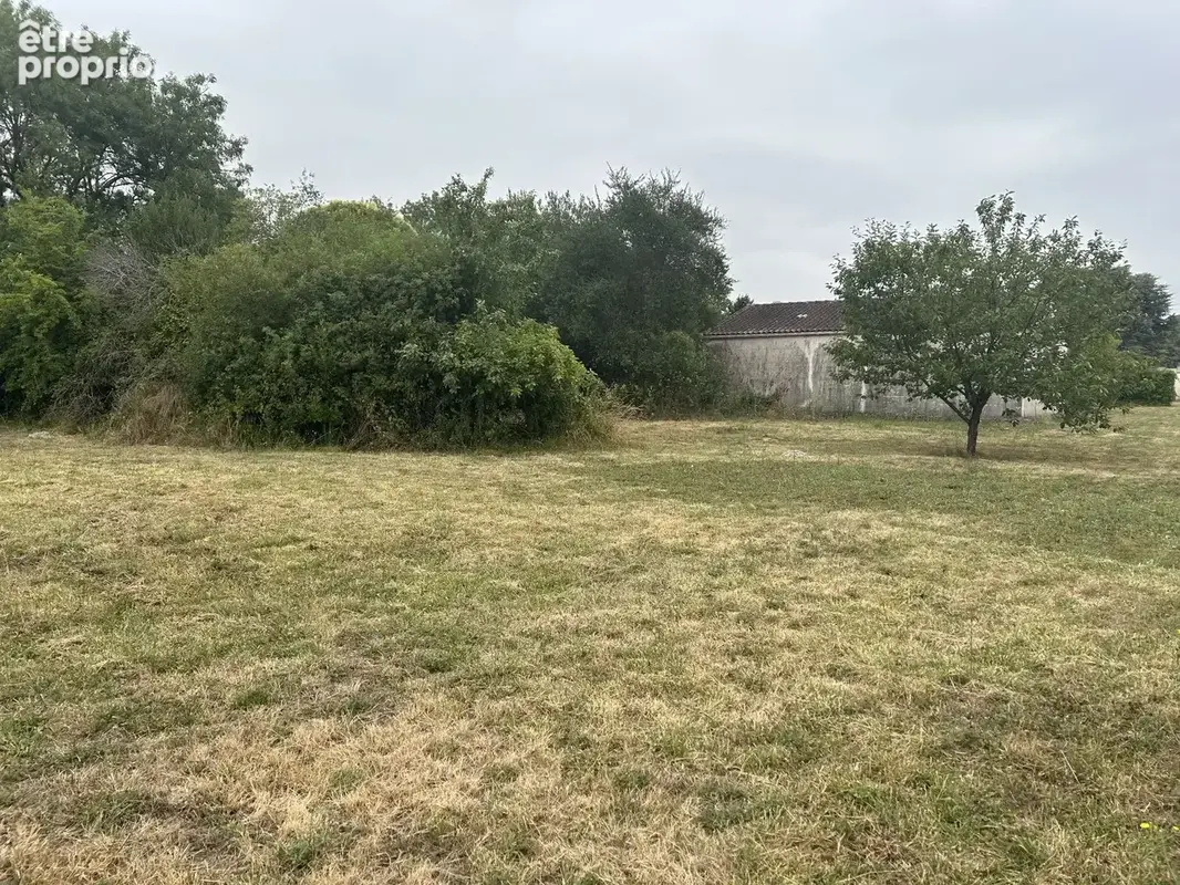 Terrain à JARNAC