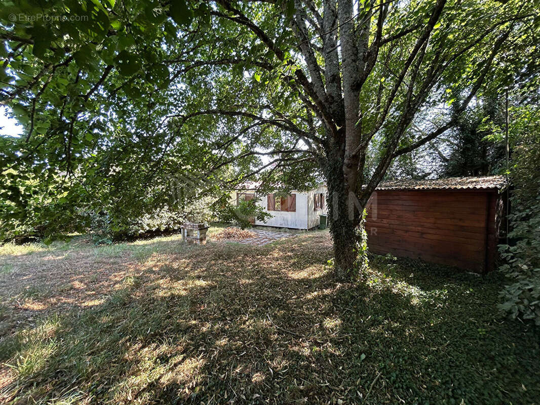 Idéal pied à terre - Bungalow sur joli jardin - 8 minutes de Toucy - photo 5