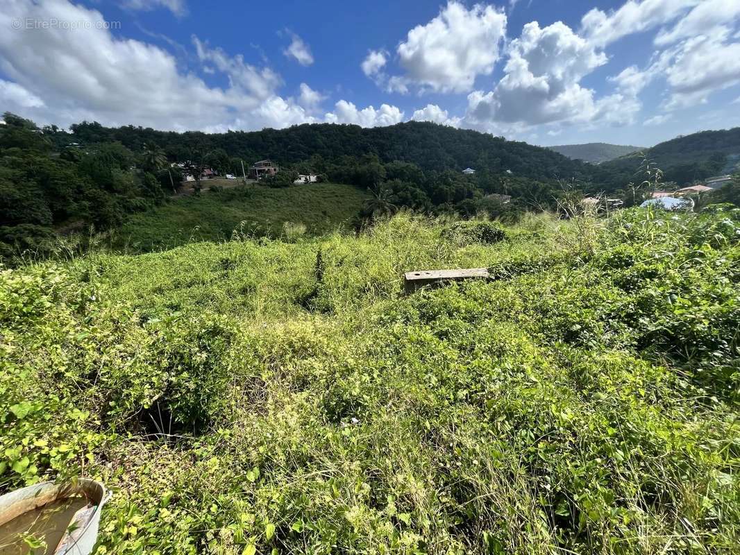 Terrain à RIVIERE-SALEE