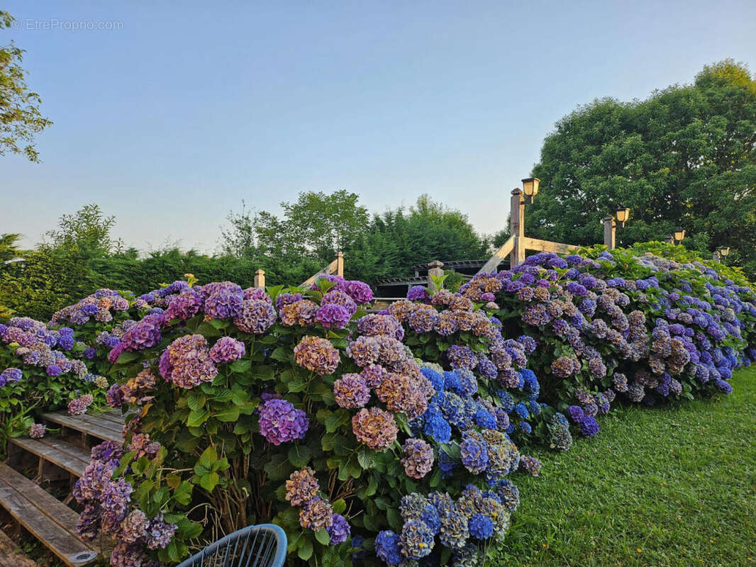 1000025938 - Maison à SAINT-PRIEST-LES-FOUGERES