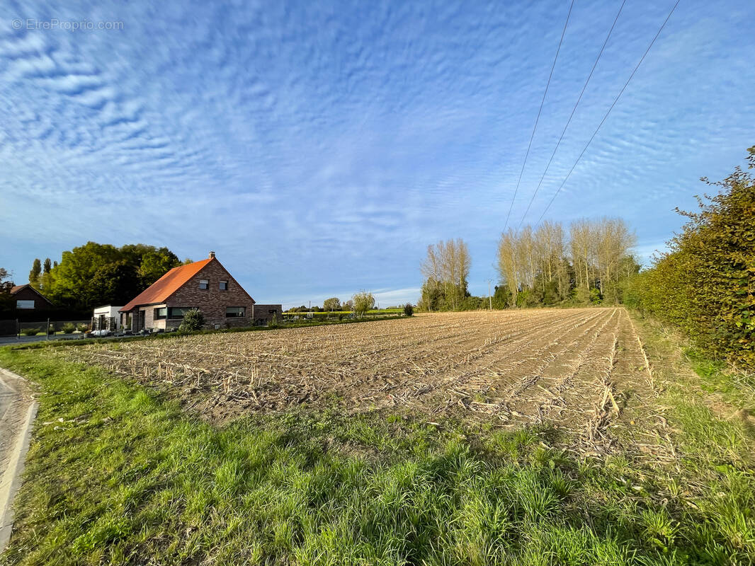 Terrain à SAMEON