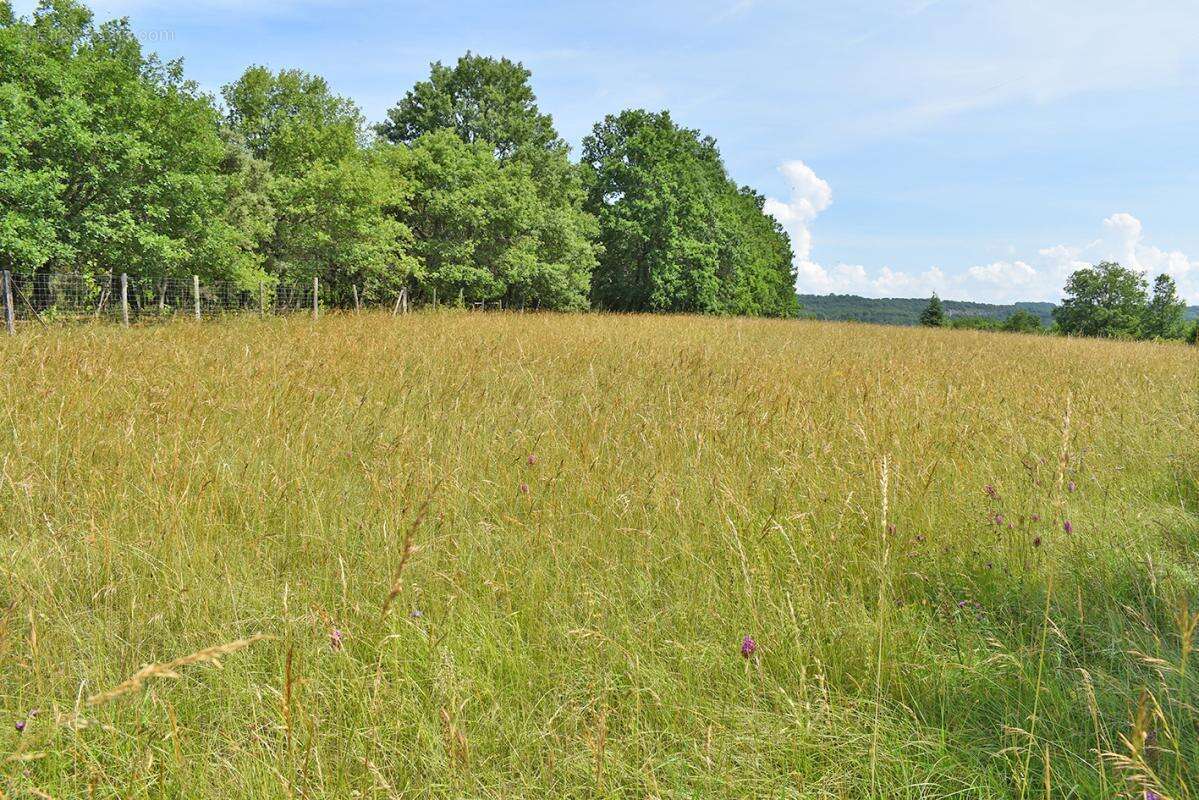 Terrain  constructible 5580 m2 La Cassagne - photo 4