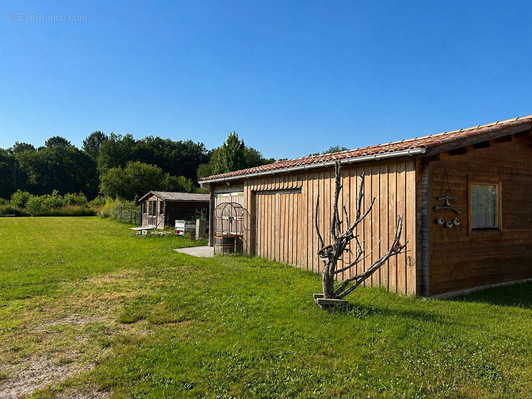 Maison contemporaine récente de plain -pied, piscine et annexes - photo 5
