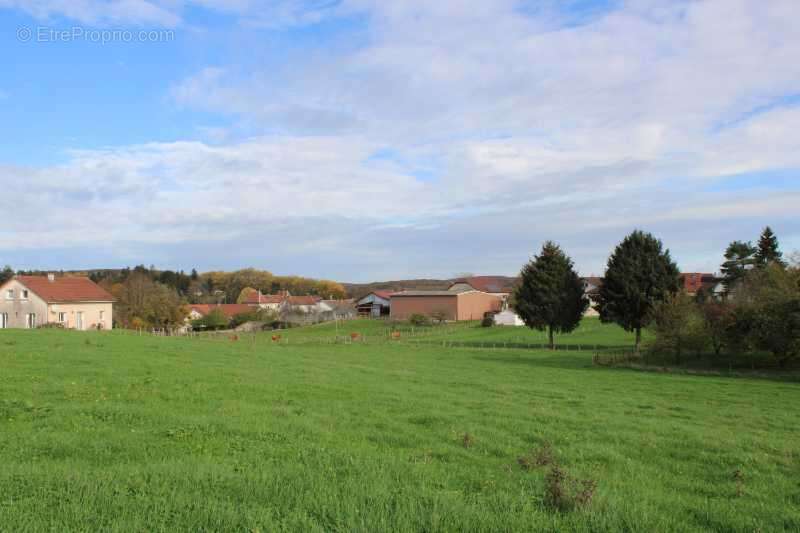 Terrain à GENEUILLE